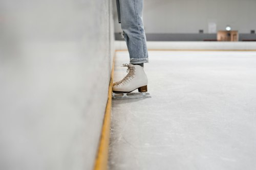 Skating Technique Book