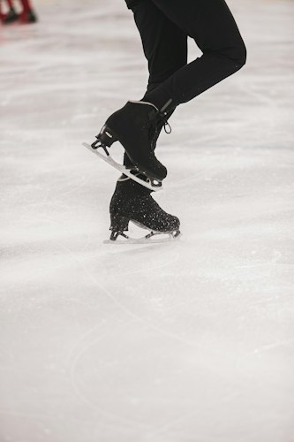 Ice Show Poster